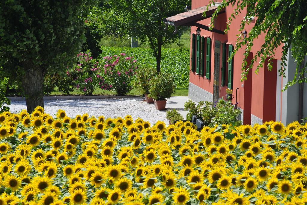 La Cascina B&B Кальдерара-ди-Рено Экстерьер фото