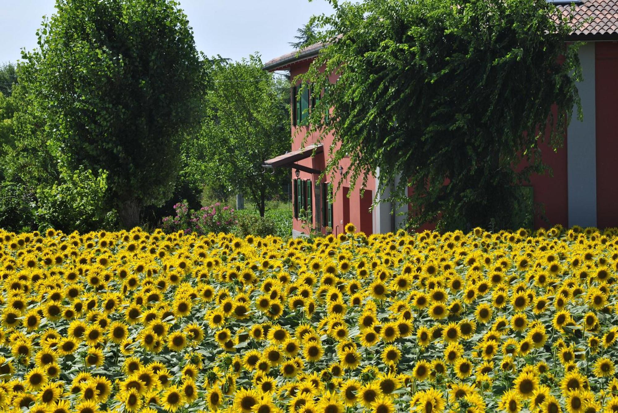 La Cascina B&B Кальдерара-ди-Рено Экстерьер фото