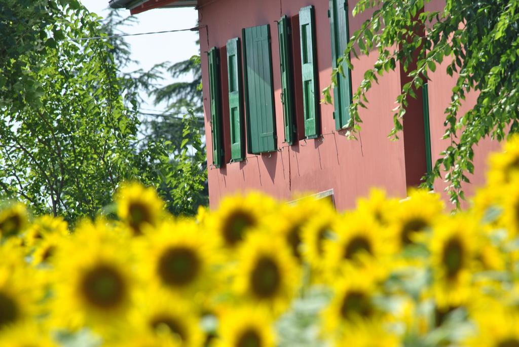 La Cascina B&B Кальдерара-ди-Рено Экстерьер фото