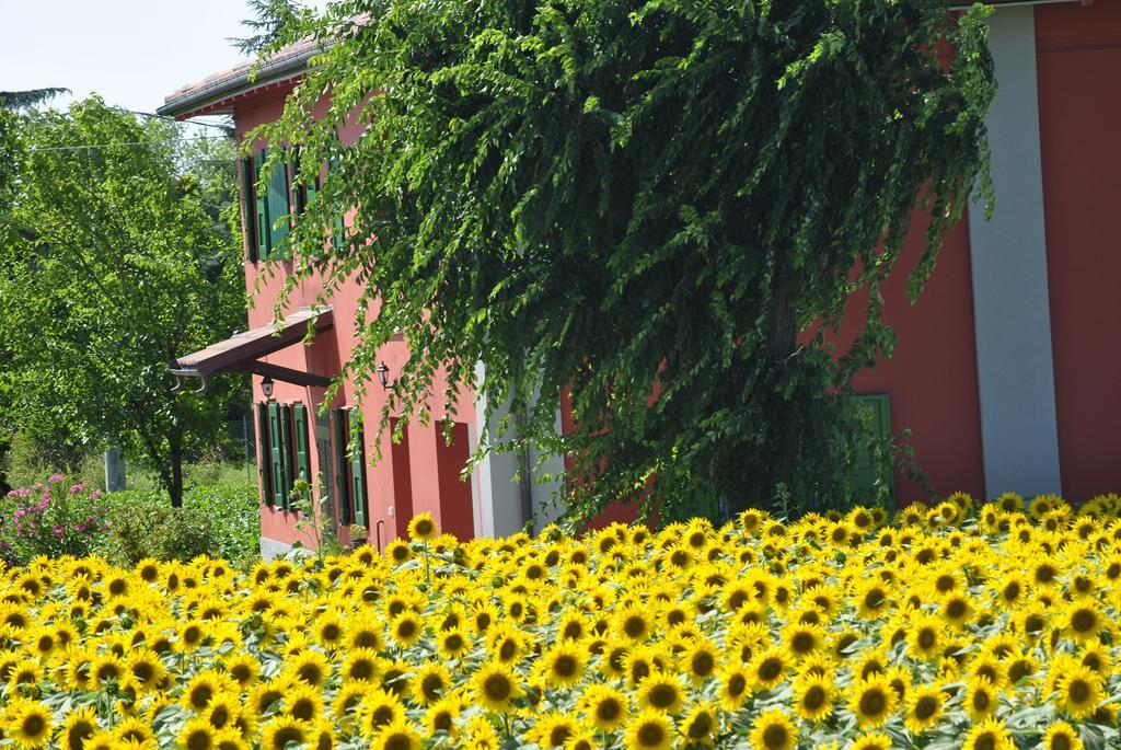 La Cascina B&B Кальдерара-ди-Рено Экстерьер фото