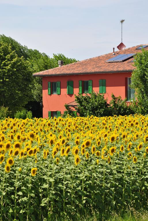 La Cascina B&B Кальдерара-ди-Рено Экстерьер фото