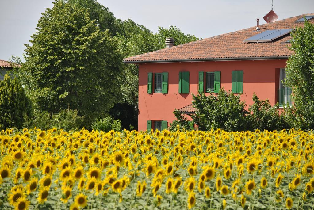La Cascina B&B Кальдерара-ди-Рено Экстерьер фото