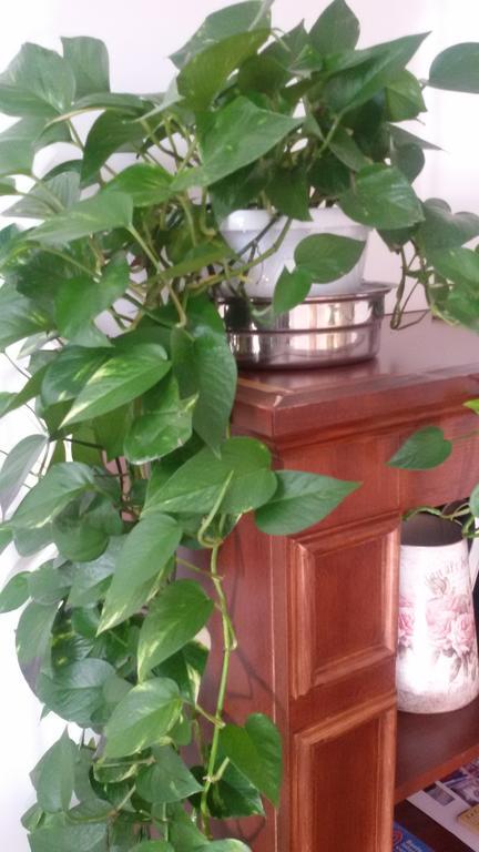 La Cascina B&B Кальдерара-ди-Рено Экстерьер фото